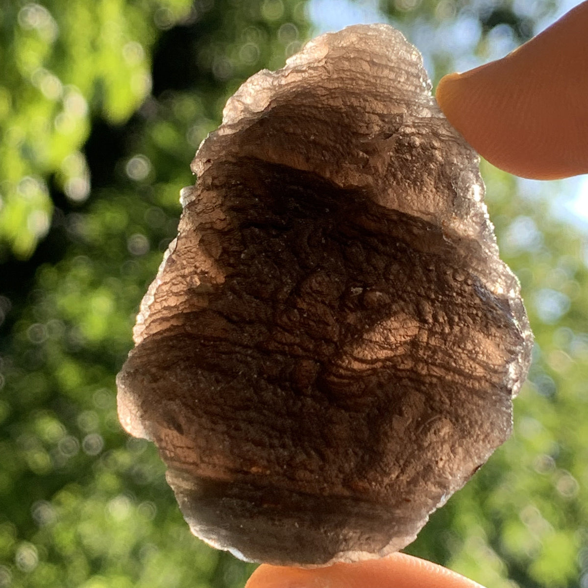 Pearl of Fire Agni Manitite 55.3 grams PF75-Moldavite Life