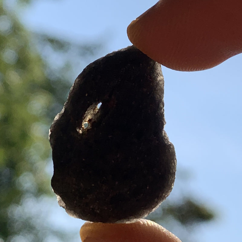 Pearl of Fire Agni Manitite 8.7 grams PF72-Moldavite Life