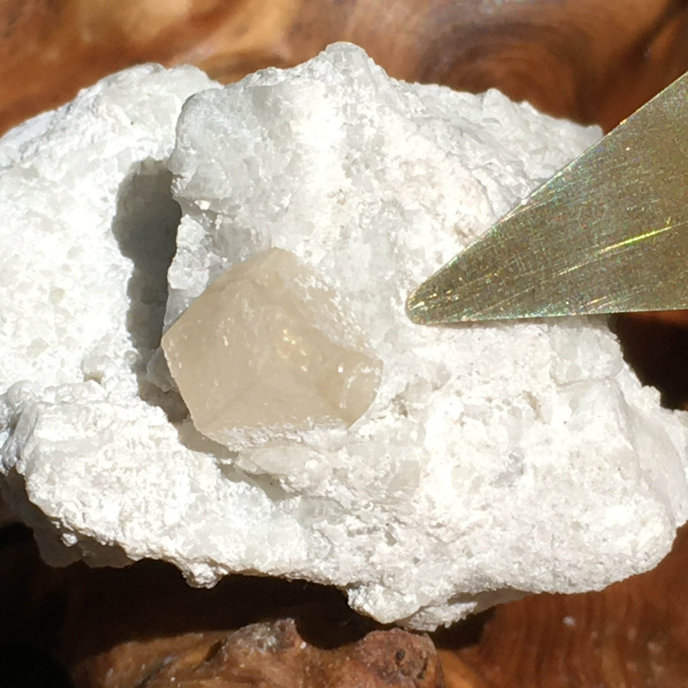 Phenacite Crystals in Matrix 19-Moldavite Life
