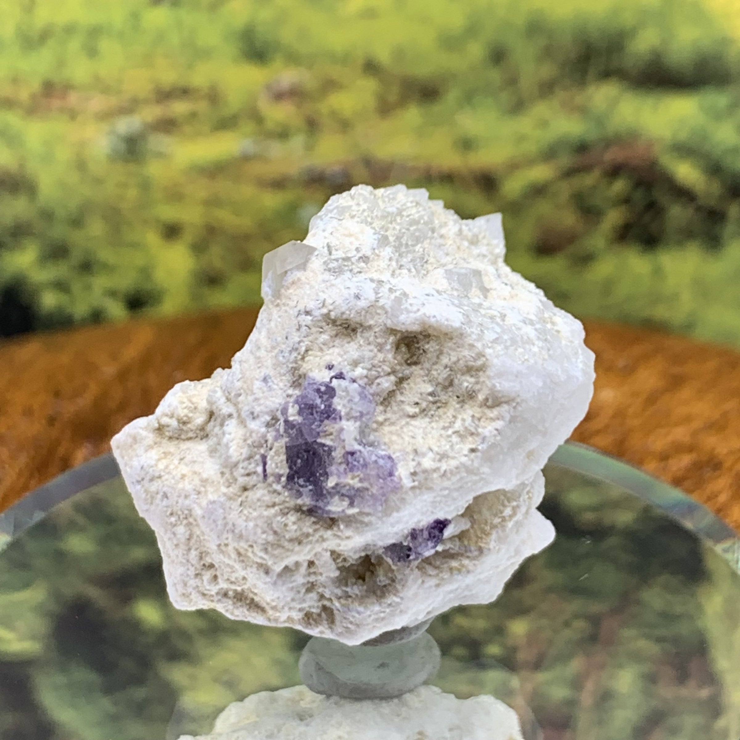 Phenacite Crystals in Matrix from Colorado CPH63