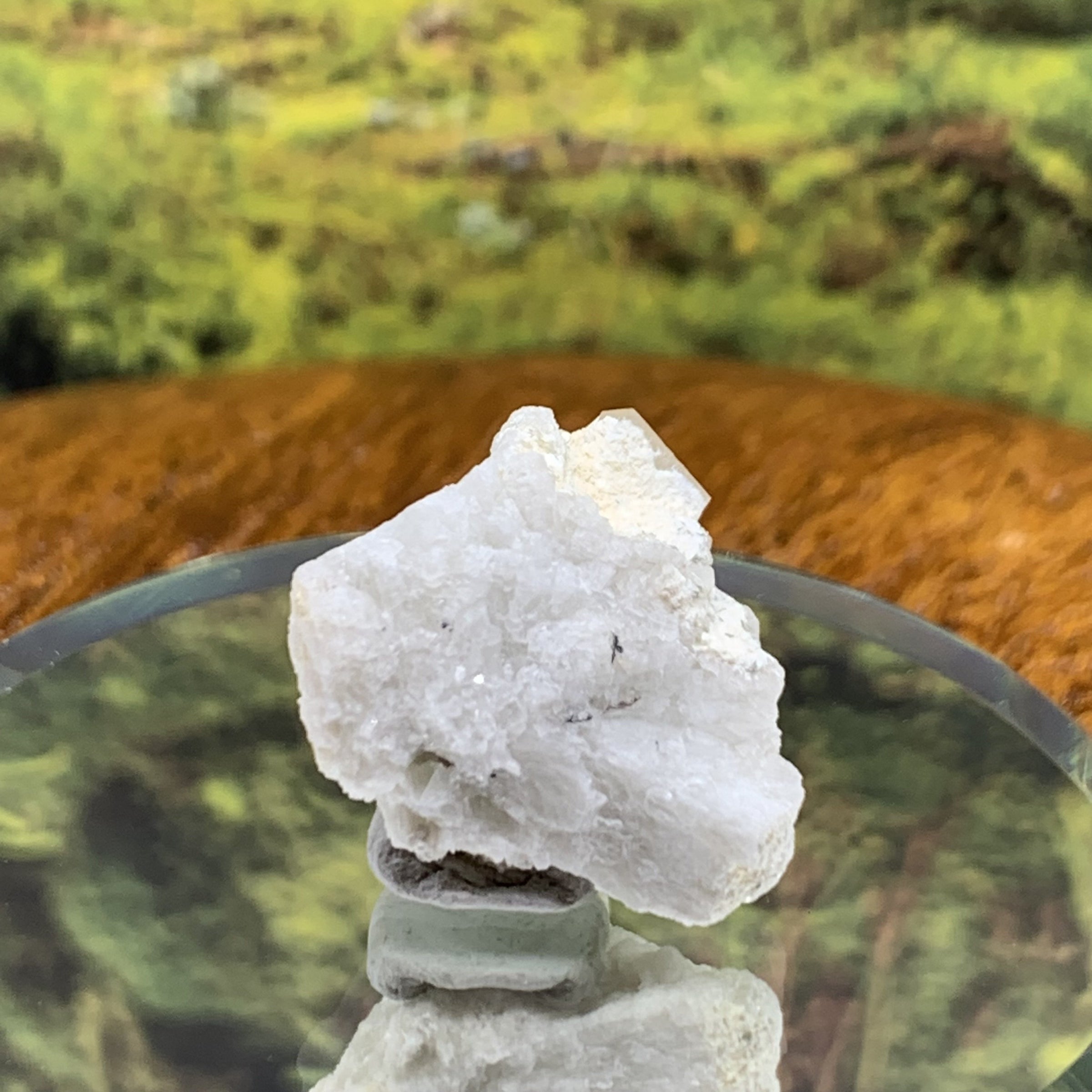 Phenacite Crystals in Matrix from Colorado CPH64