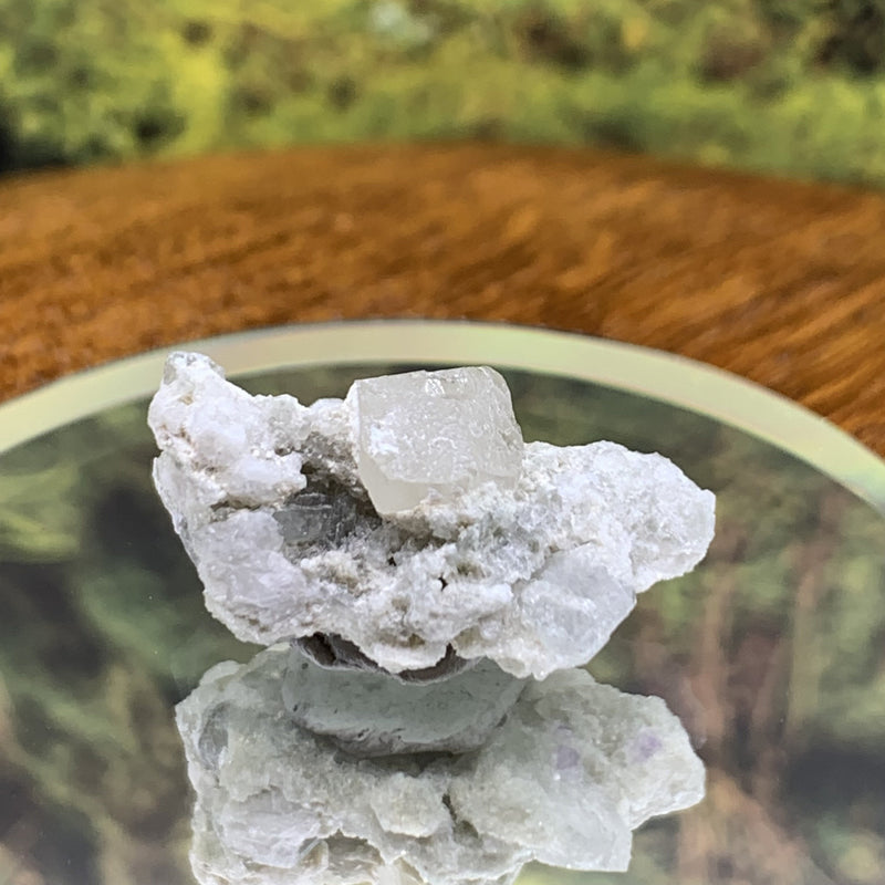 Phenacite Crystals in Matrix from Colorado CPH66