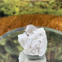 Phenacite Crystals in Matrix from Colorado CPH67