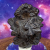 Prophecy Stone 105.2 grams-Moldavite Life