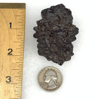 Prophecy Stone 105.2 grams-Moldavite Life