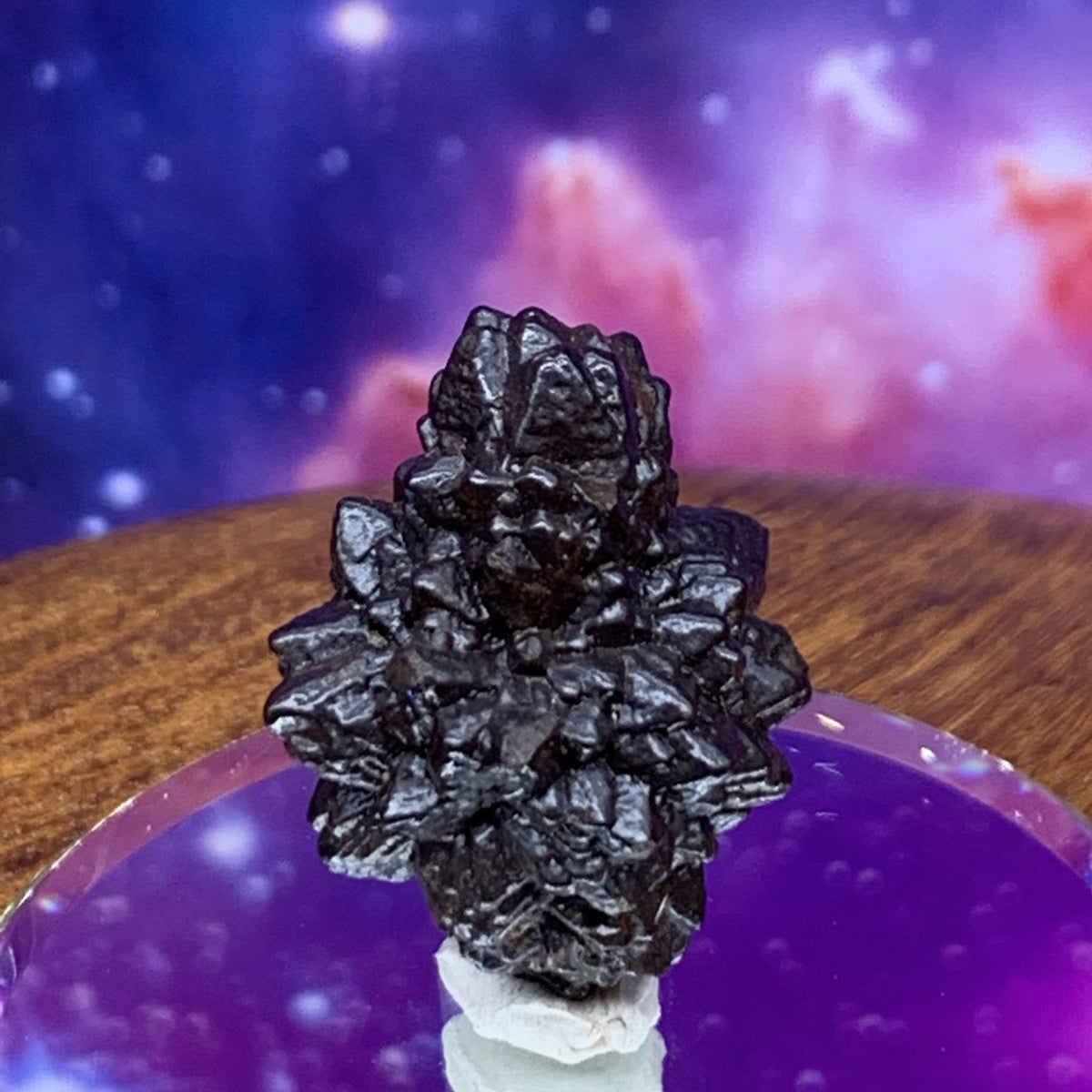 Prophecy Stone 12.7 grams-Moldavite Life