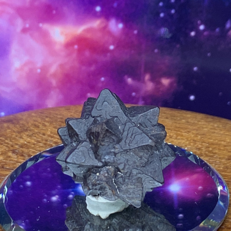 Prophecy Stone 15.2 grams-Moldavite Life