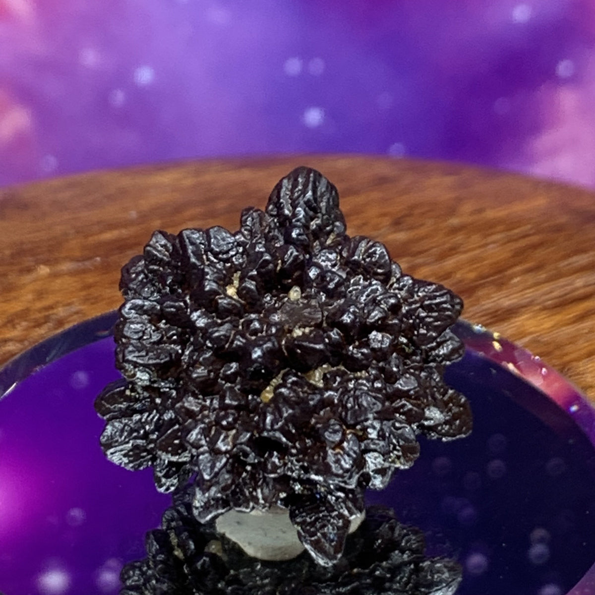 Prophecy Stone 15.8 grams-Moldavite Life