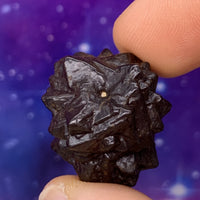 Prophecy Stone 16.1 grams-Moldavite Life