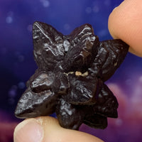 Prophecy Stone 16.2 grams-Moldavite Life