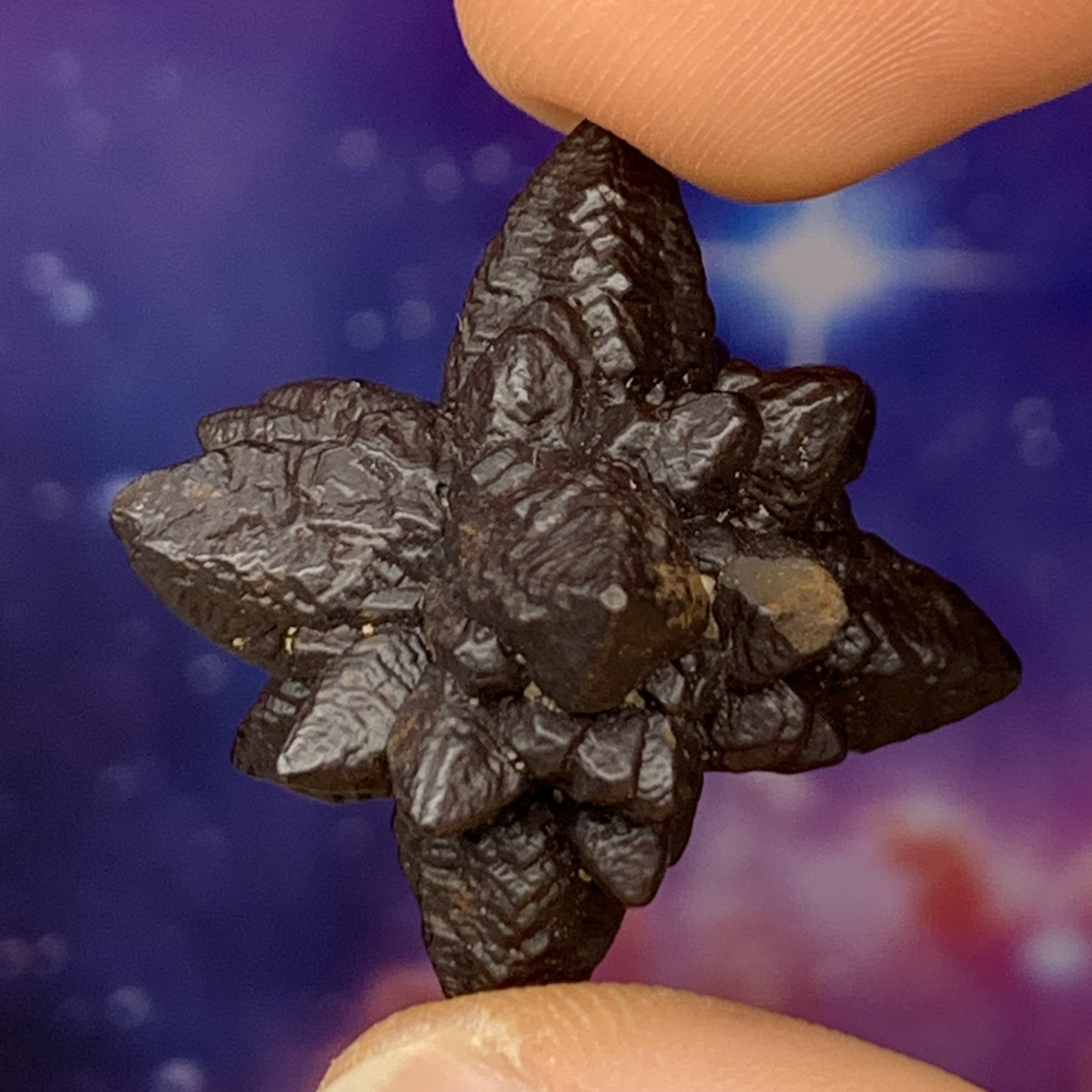 Prophecy Stone 16.2 grams-Moldavite Life