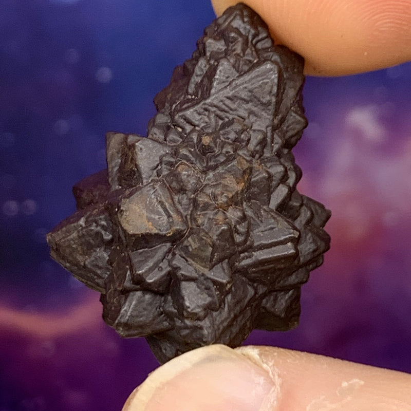 Prophecy Stone 16.3 grams-Moldavite Life