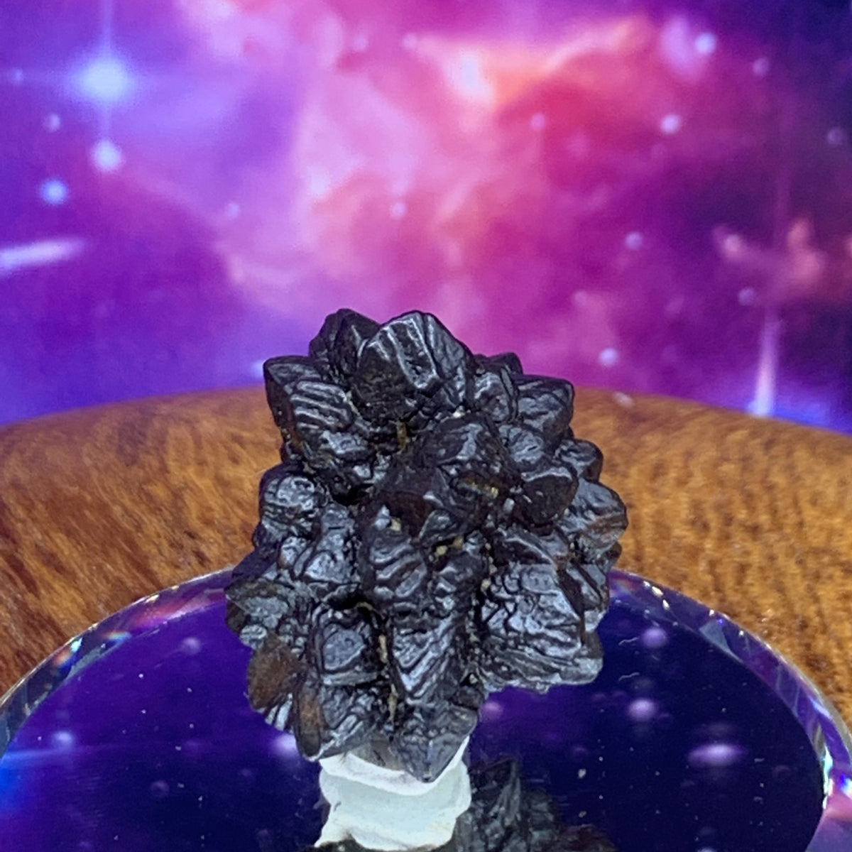 Prophecy Stone 16.5 grams-Moldavite Life