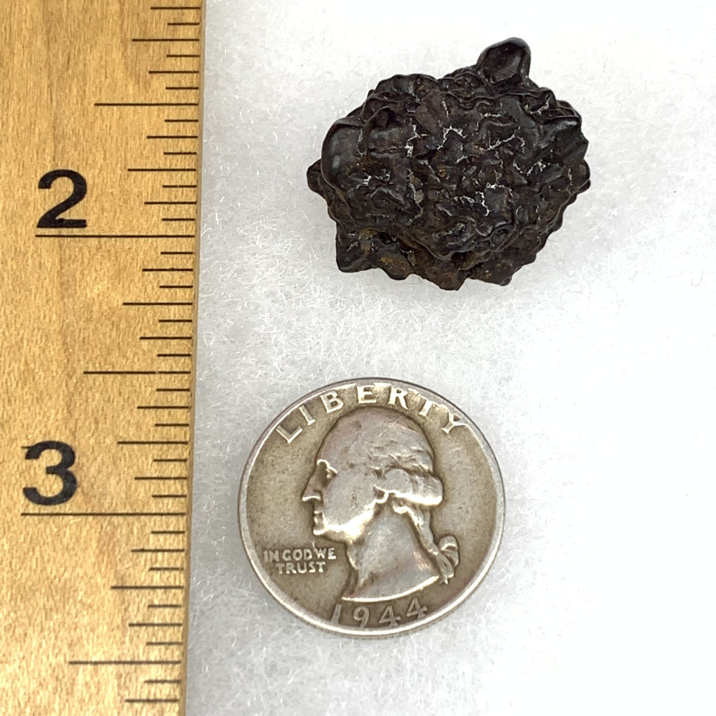 Prophecy Stone 16.7 grams-Moldavite Life