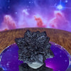 Prophecy Stone 17 grams-Moldavite Life