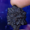 Prophecy Stone 17 grams-Moldavite Life