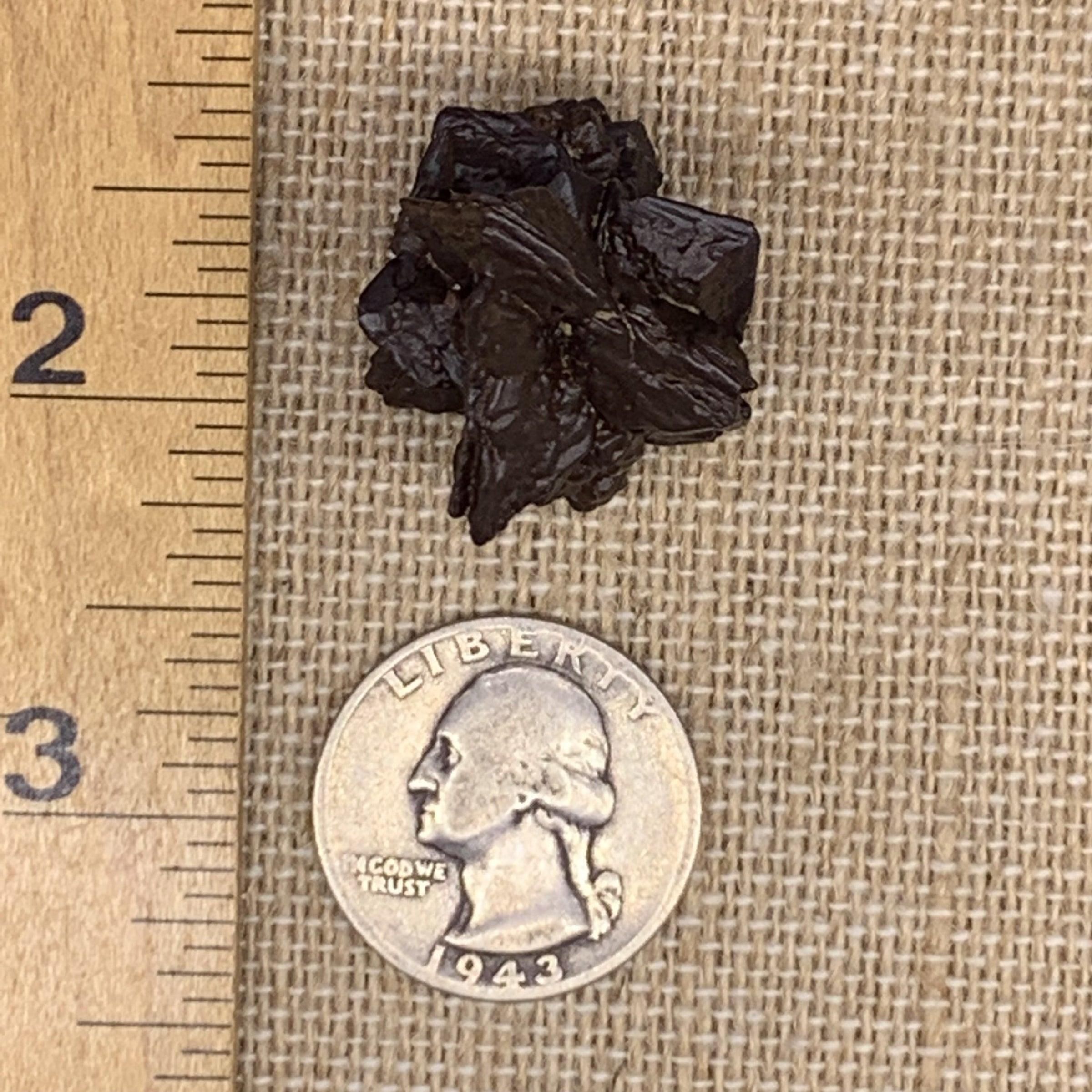 Prophecy Stone 17.5 grams-Moldavite Life