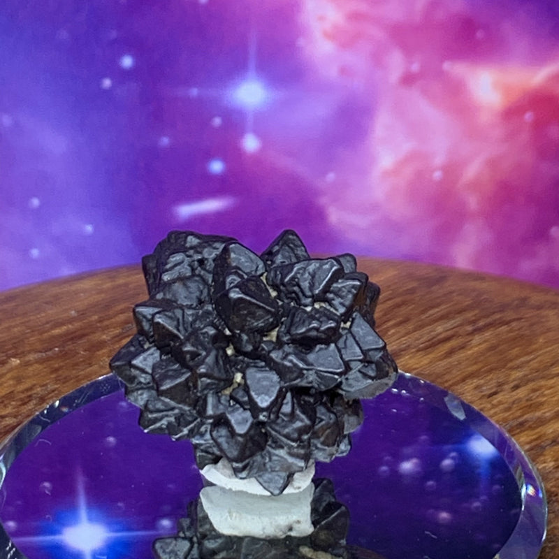 Prophecy Stone 17.6 grams-Moldavite Life