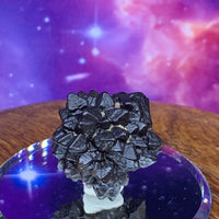 Prophecy Stone 17.6 grams-Moldavite Life