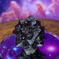 Prophecy Stone 18.3 grams-Moldavite Life