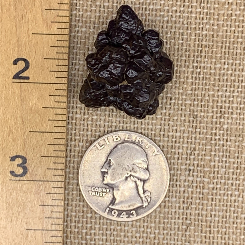 Prophecy Stone 19 grams-Moldavite Life