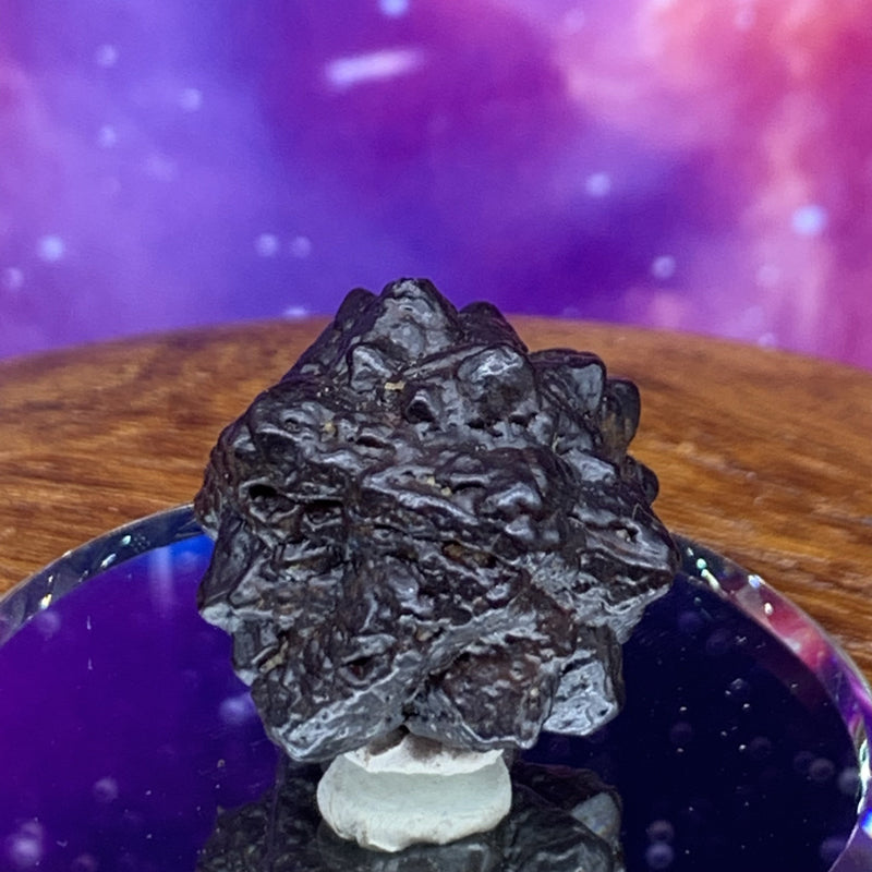 Prophecy Stone 20.6 grams-Moldavite Life