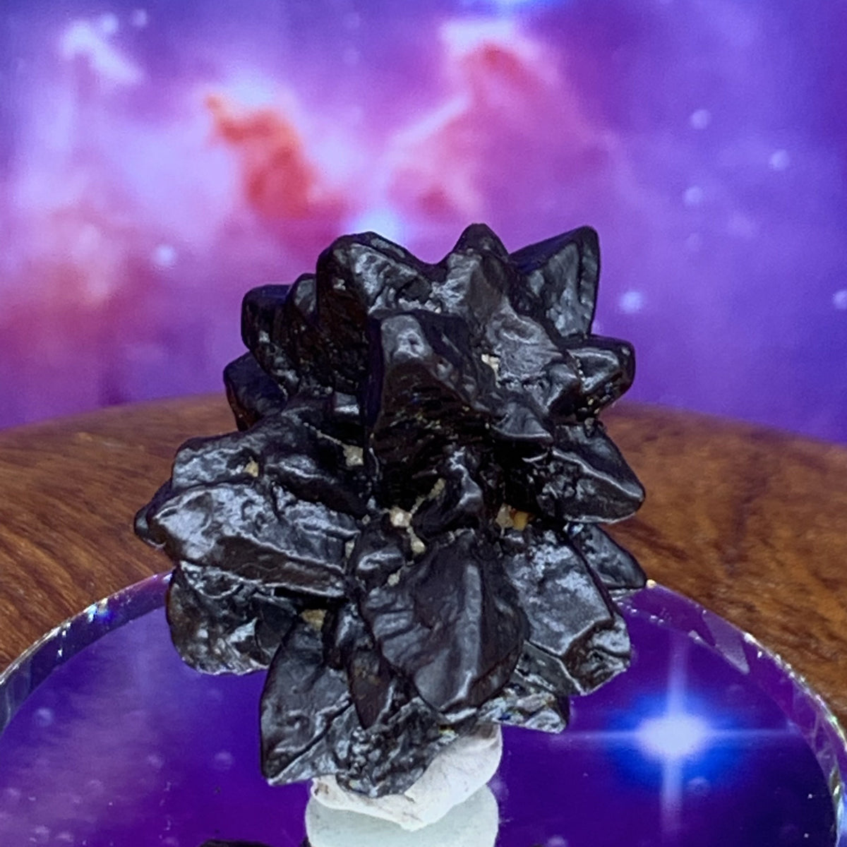 Prophecy Stone 21.3 grams-Moldavite Life