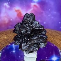 Prophecy Stone 21.3 grams-Moldavite Life