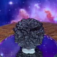 Prophecy Stone 21.9 grams-Moldavite Life