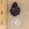 Prophecy Stone 23 grams-Moldavite Life