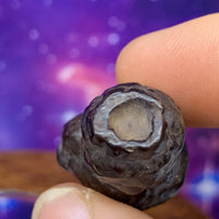 Prophecy Stone 23.3 grams-Moldavite Life