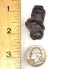 Prophecy Stone 23.3 grams-Moldavite Life