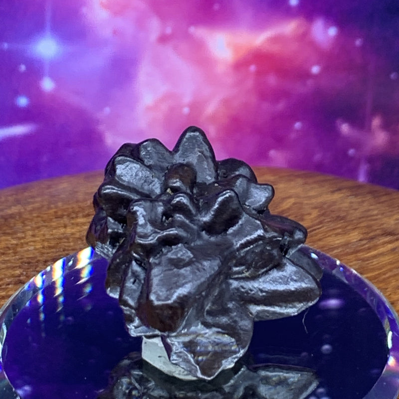 Prophecy Stone 23.6 grams-Moldavite Life