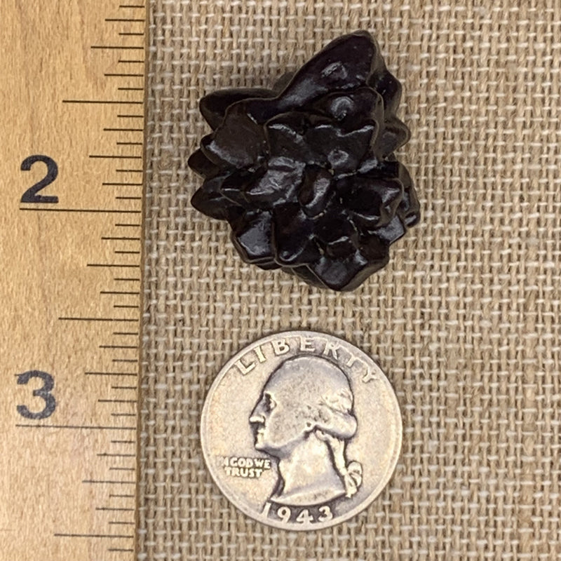 Prophecy Stone 23.6 grams-Moldavite Life