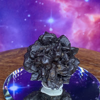 Prophecy Stone 24 grams-Moldavite Life