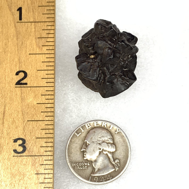 Prophecy Stone 24.2 grams-Moldavite Life