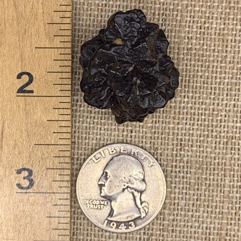 Prophecy Stone 24.3 grams-Moldavite Life