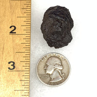 Prophecy Stone 25.5 grams-Moldavite Life