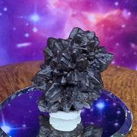 Prophecy Stone 26.3 grams-Moldavite Life