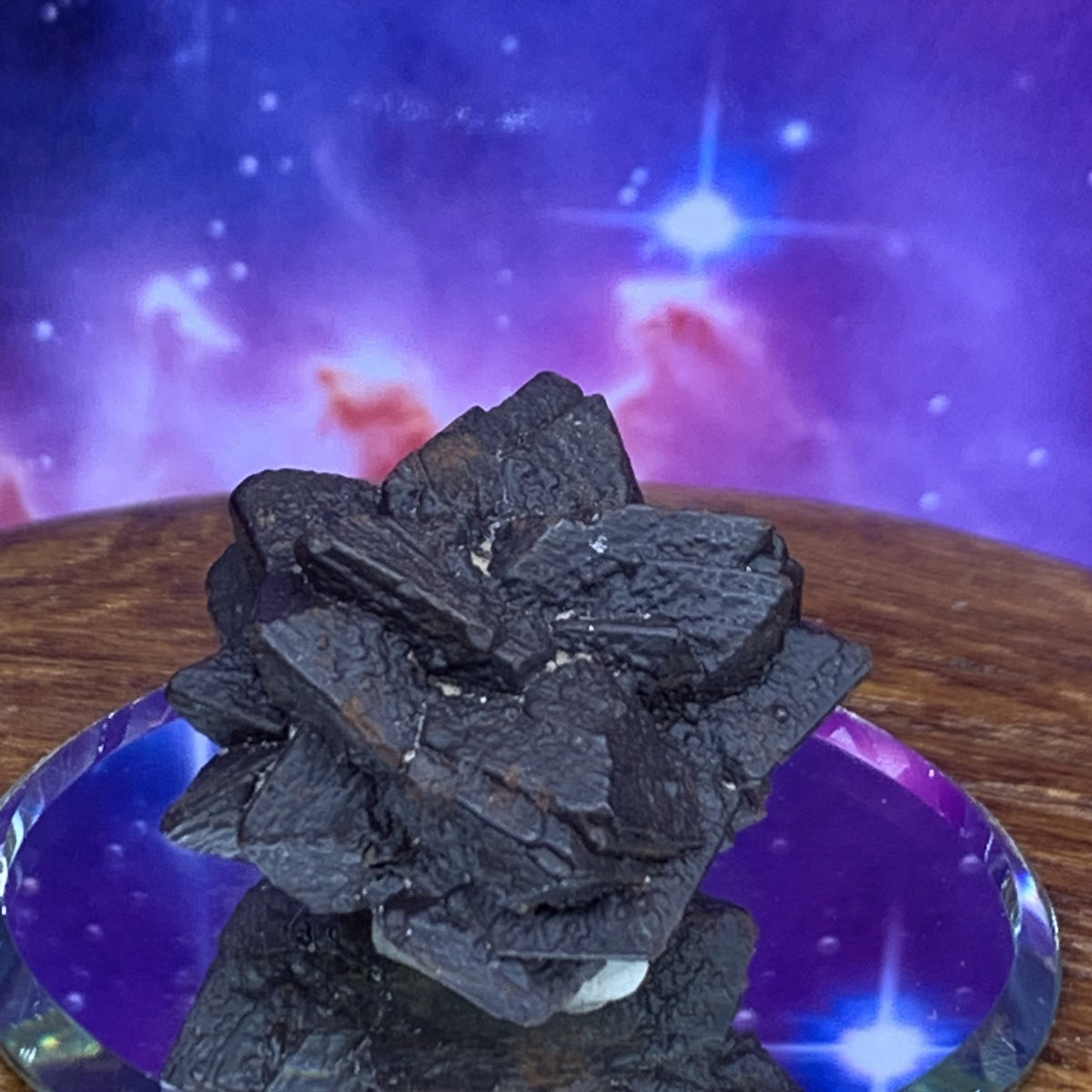 Prophecy Stone 26.8 grams-Moldavite Life