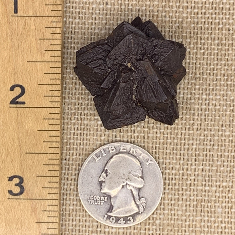 Prophecy Stone 26.8 grams-Moldavite Life