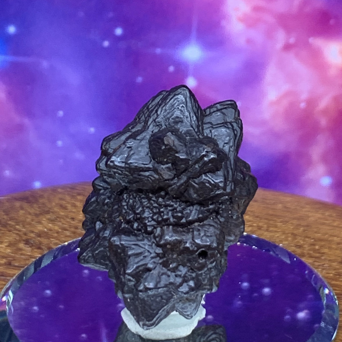 Prophecy Stone 28.8 grams-Moldavite Life