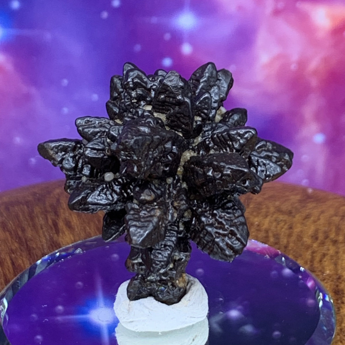 Prophecy Stone 29.1 grams-Moldavite Life