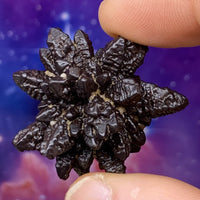 Prophecy Stone 29.1 grams-Moldavite Life