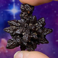 Prophecy Stone 29.1 grams-Moldavite Life