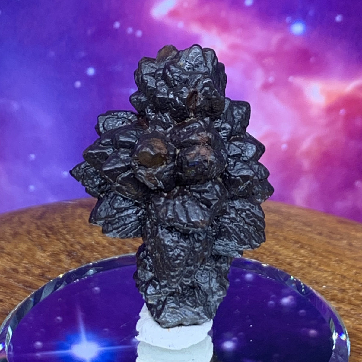 Prophecy Stone 30.7 grams-Moldavite Life