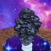 Prophecy Stone 30.7 grams-Moldavite Life