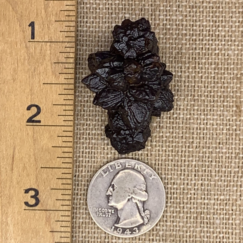 Prophecy Stone 30.7 grams-Moldavite Life