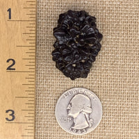 Prophecy Stone 30.8 grams-Moldavite Life