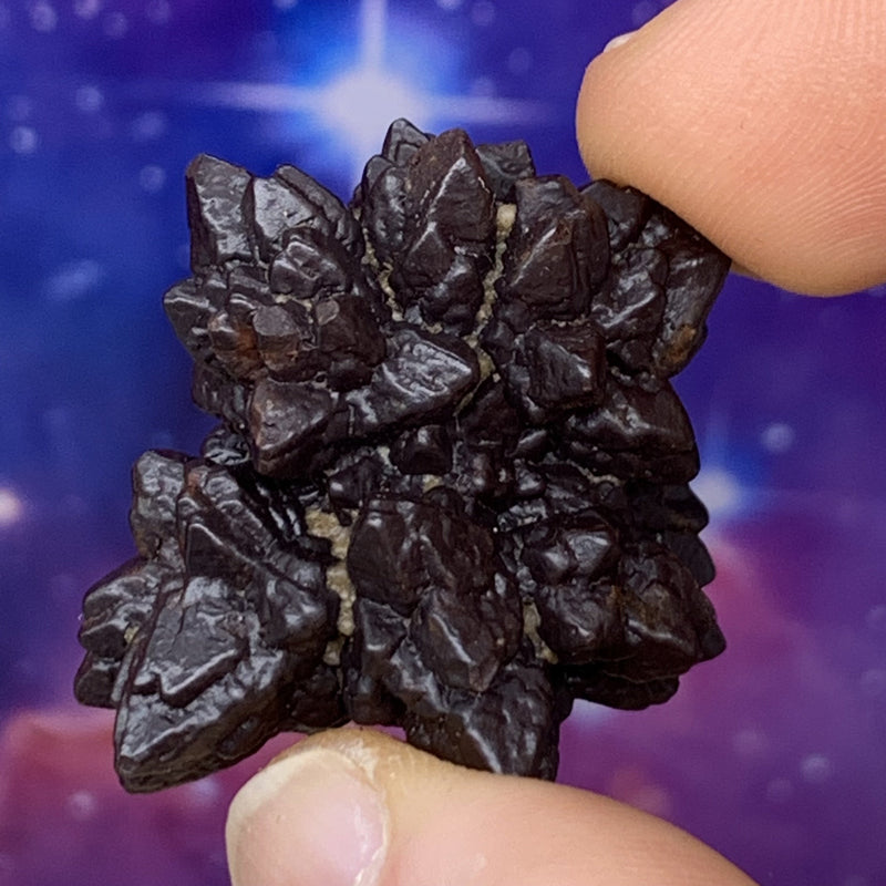 Prophecy Stone 30.9 grams-Moldavite Life